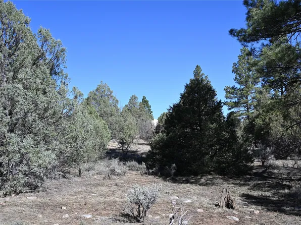 0 Nm Br #64, Tierra Amarilla, NM 87575