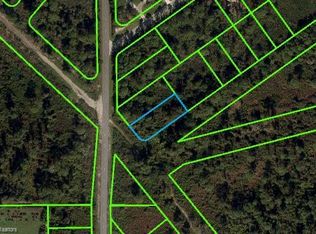 481 Nichele Blvd, Lake Placid, FL 33852