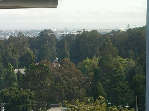 2nd image of 4863 Reinhardt Dr