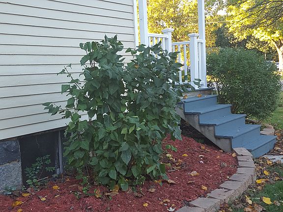 4th image of 229 W Allegan St