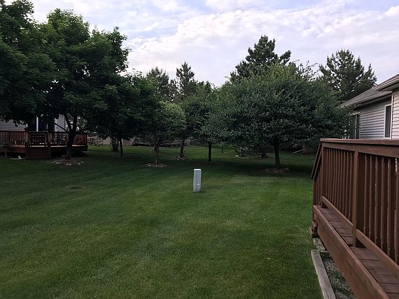 Park like backyard