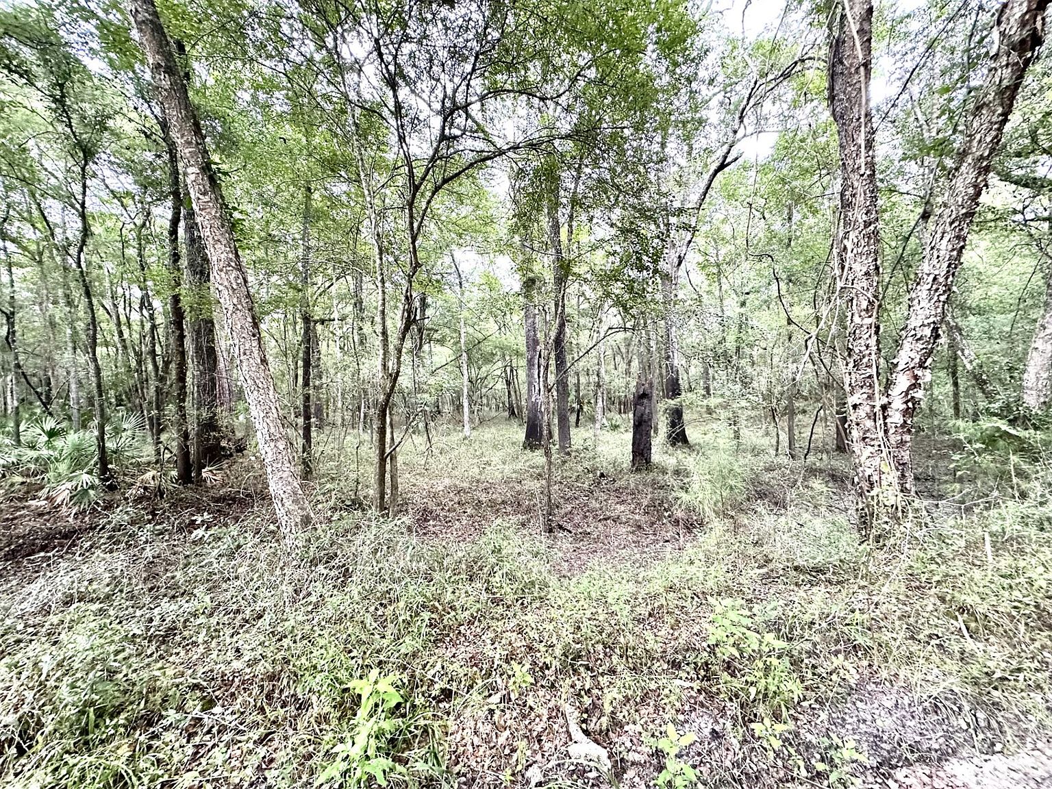 Kings Road Lots 1&2, Mayo, FL 32066 Zillow