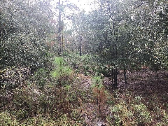 2nd image of 7722 Avocet Dr
