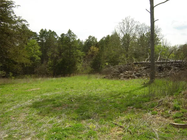 17370 Boone Creek Rd, Licking, MO 65542