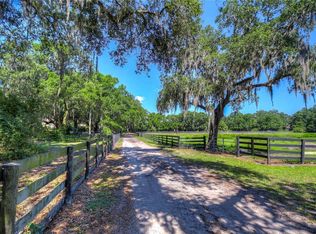 150 S Smokey Mountain Rd, Seffner, FL 33584