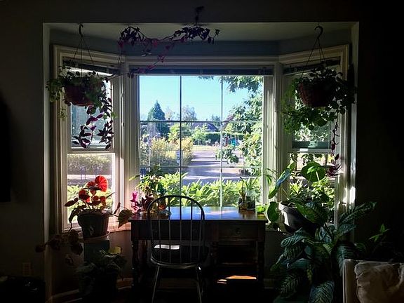 front bay window in living room