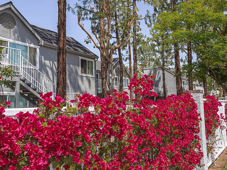 Mountain View Apartments — Photo 24