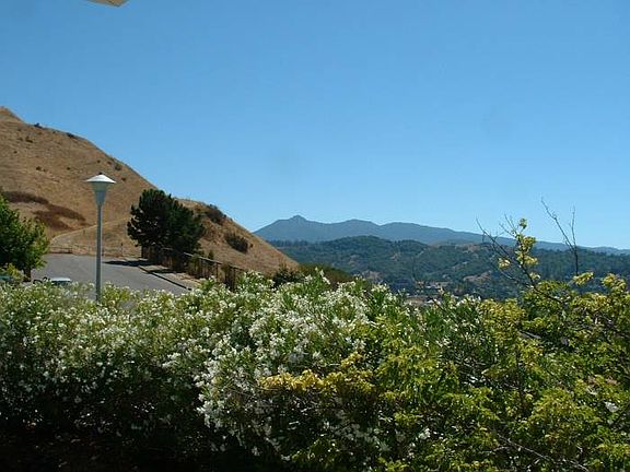 Views of Mt. Tam front