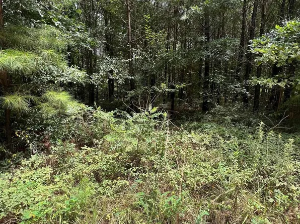 County Road 621 From Parcel 1201010000006001, Woodland, AL 36280