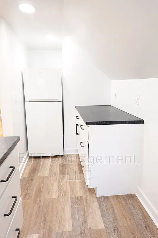 1 bed, 1.0 bath, 500 sqft, $1,450 — Photo 3