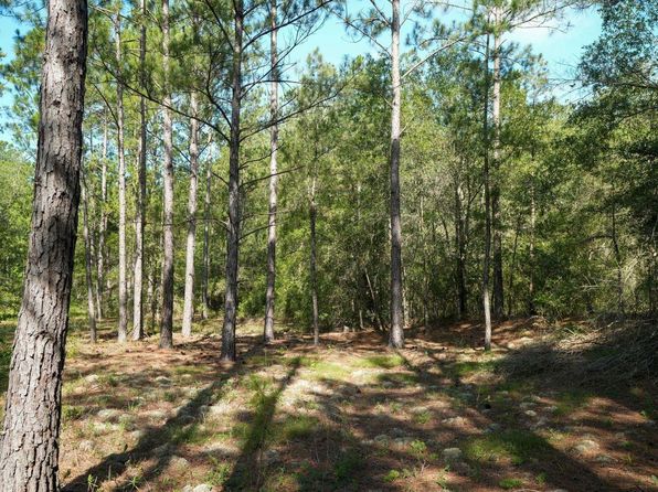 5 Fm 363 N, Kirbyville, TX 75956