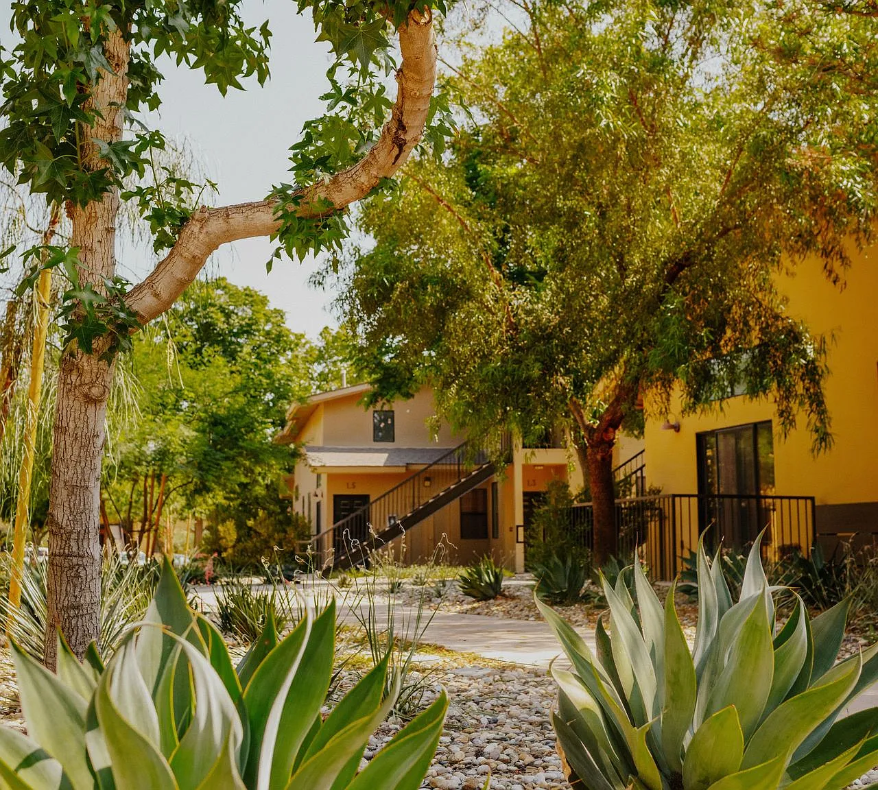 Polo Villas — Photo 1