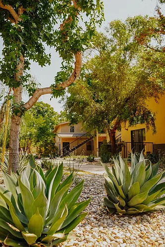 Polo Villas Photo 1