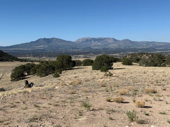 26 Turkey Creek Rnch, Gardner, CO 81040