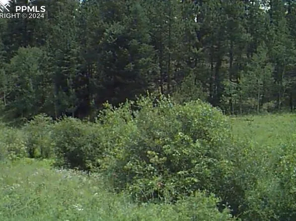 3184 County Road 33, Florissant, CO 80816