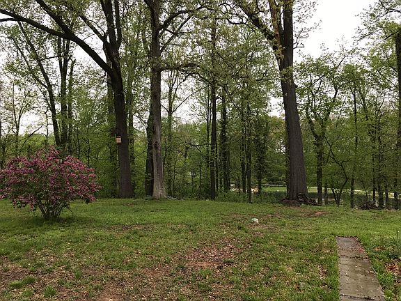 Back Yard View of Lake