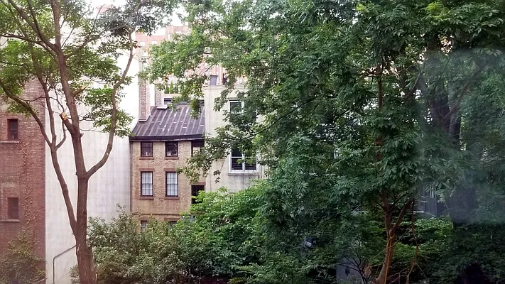 Rented by Domus Realty | media 25