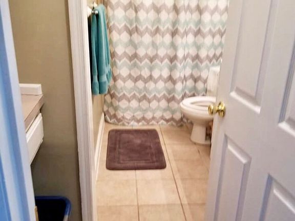 4th image of 424 Big Pine Dr