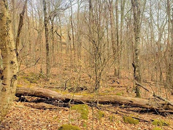 3rd image of 0 Shelter Rock Cir #167