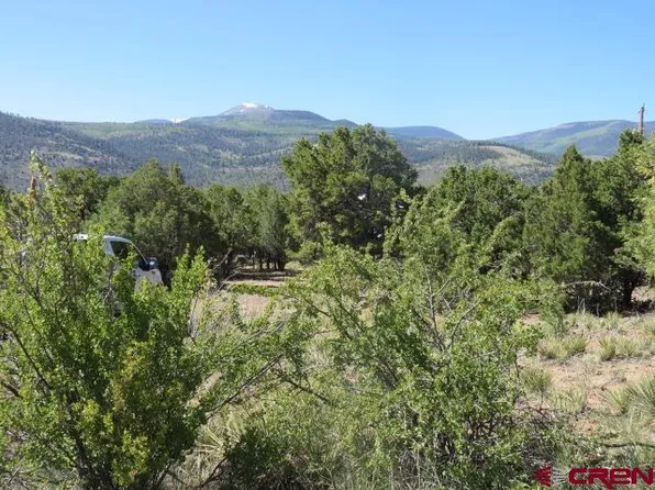 391 Cameron Pass Rd, South Fork, CO 81154