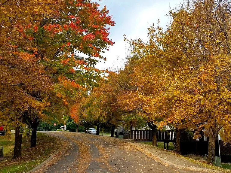 Maple Lake — Photo 13