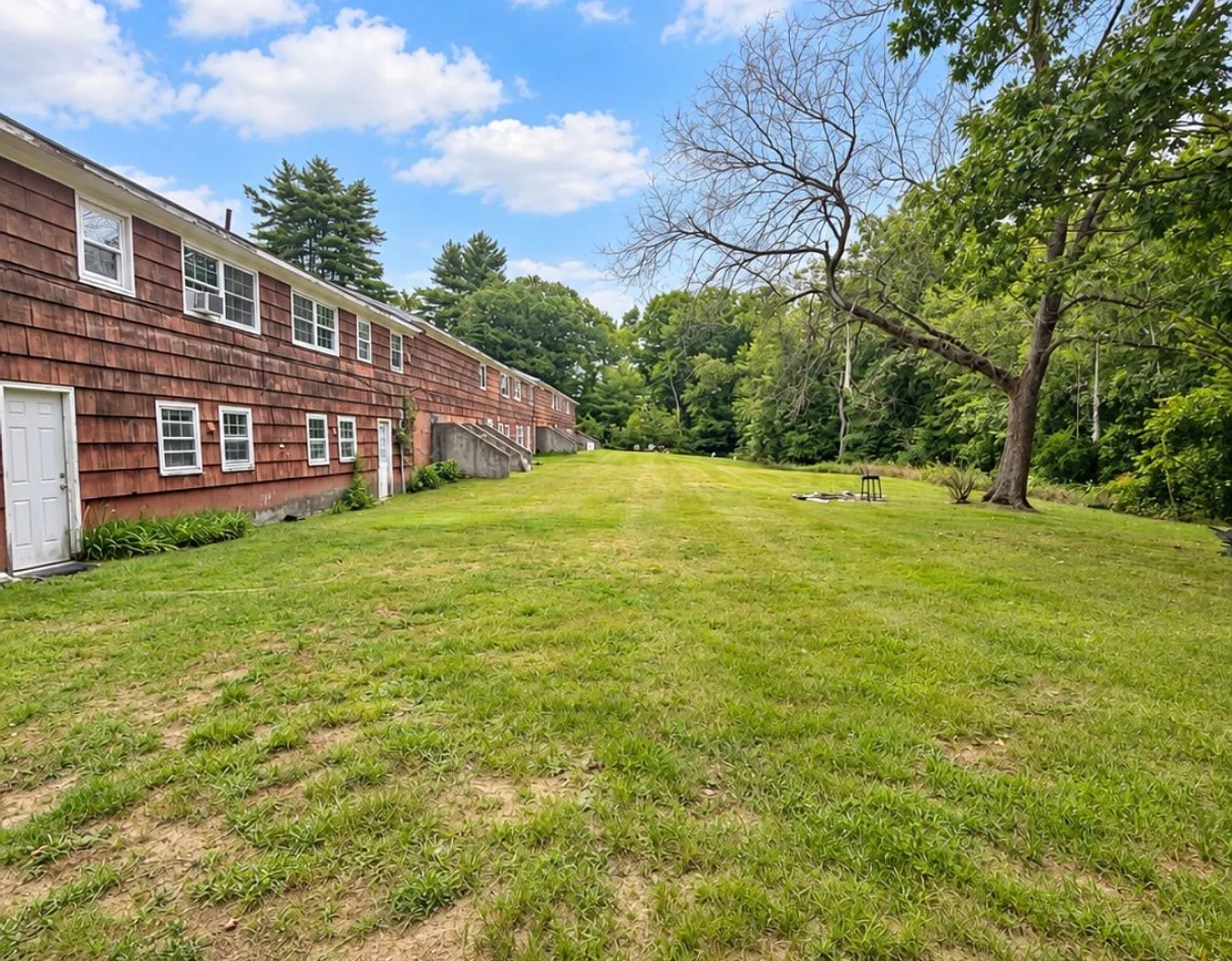 Spacious 2BR Apartments in Epsom | Garage, Basement & Large Yard — Photo 3