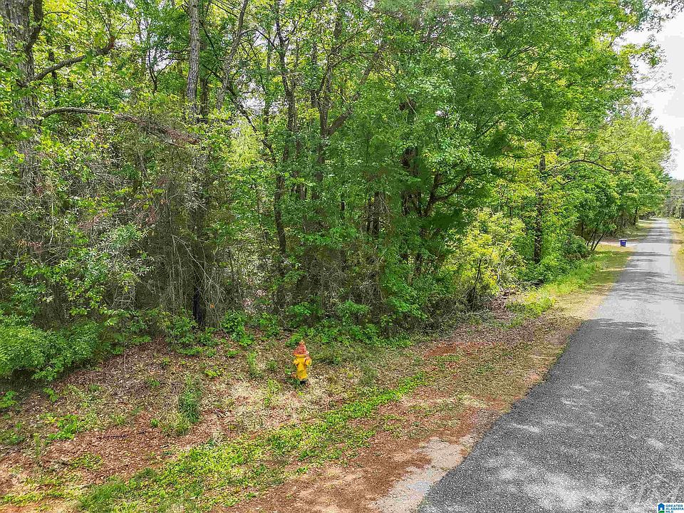0 Moreland Rd #1, Brierfield, AL 35035 | MLS #21451222 | Zillow