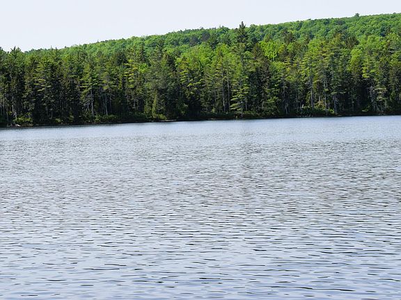 4th image of MS03 Middle Carry Pond