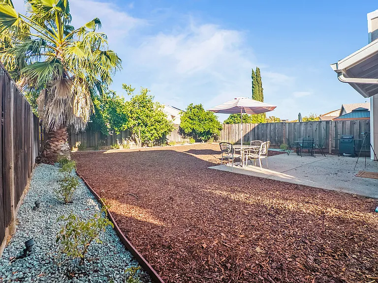 Azores Cir — Photo 16