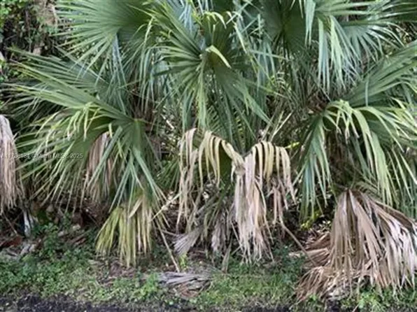 1019 SW Hamrock Ave, Port Saint Lucie, FL 34953