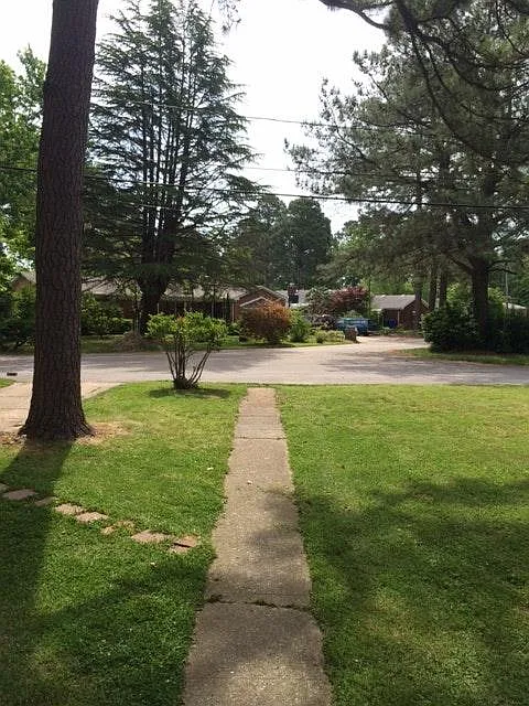 view from front doorfront of house - 7815 Flowerfield Rd