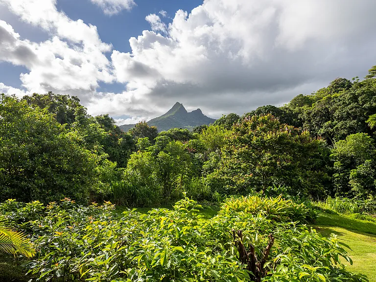 1054A Auloa Rd #1 — Photo 25
