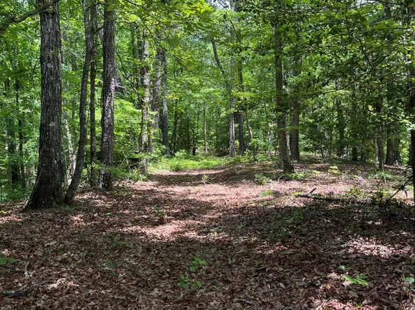 Sipsey Trl, Greenwood Springs, MS 38848