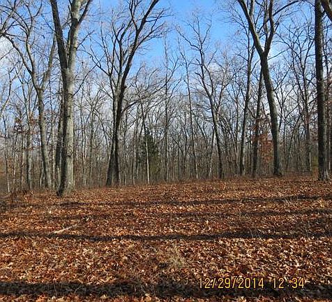 5th image of 588 Elk Run