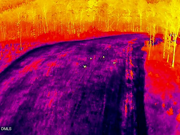 87th image of this home