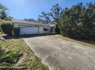 2377 Giovanni Ave, Spring Hill, FL 34608