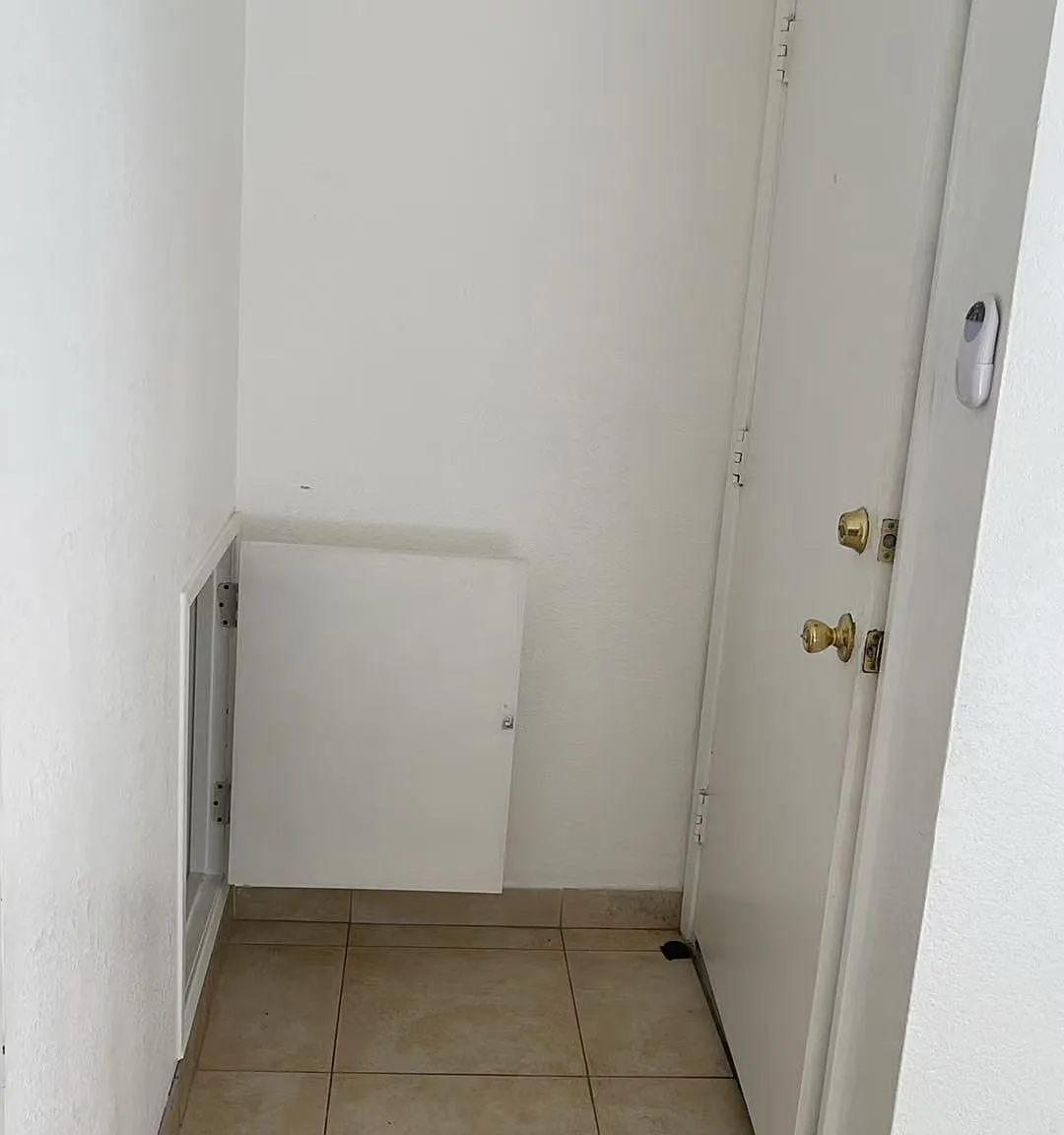 1 bed, 462 sqft, $1,000 — Photo 2
