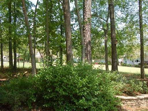 3rd image of 109 Augusta Dr