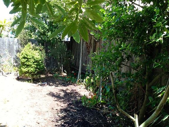 5th image of 50 Beaumont Ave