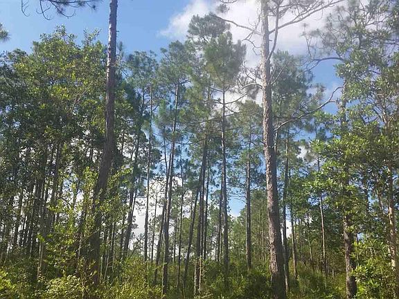 2nd image of 0 Putnam Rd