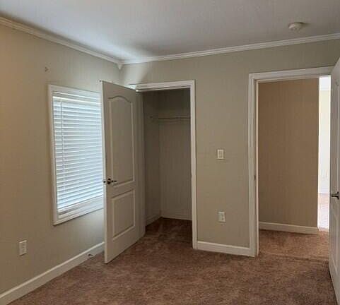 5th image of 1908 Twin Pine Dr