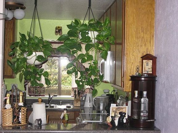 Kitchen with Breakfast Bar