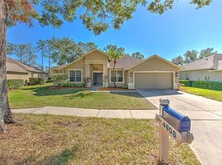 4808 Willow Ridge Ter, Valrico, FL 33596