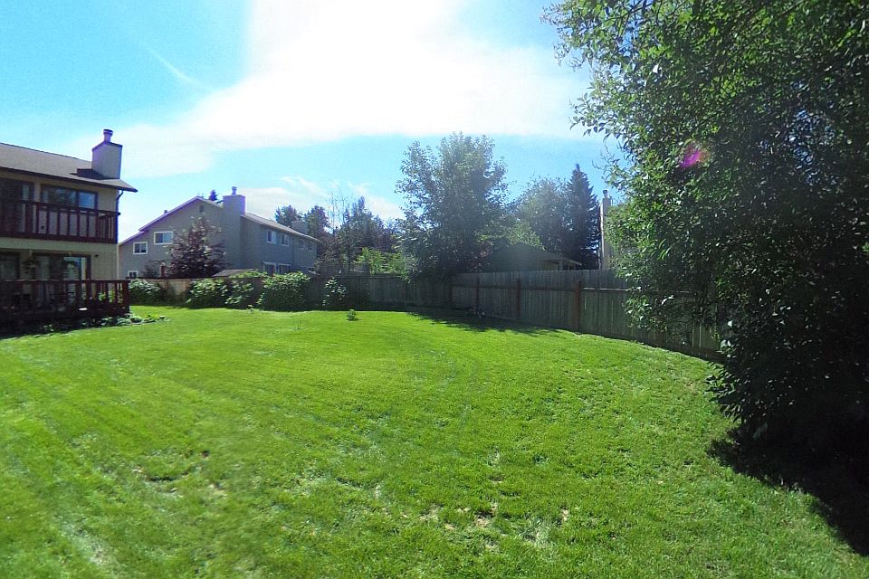 View from back of yard