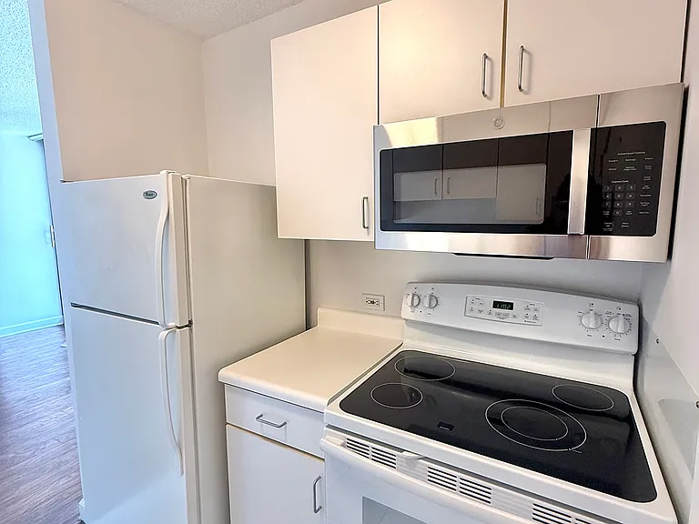 33 W Delaware Pl #14C — Photo 16
