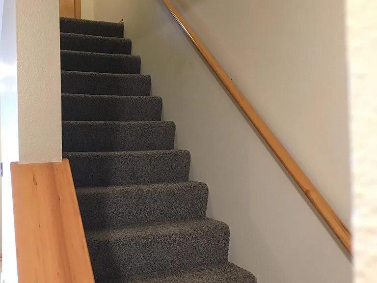 New Carpet!