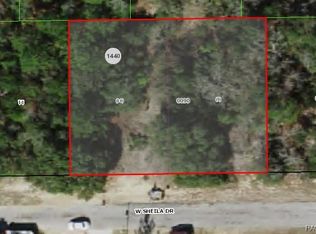 2907 W Sheila Dr, Citrus Springs, FL 34433
