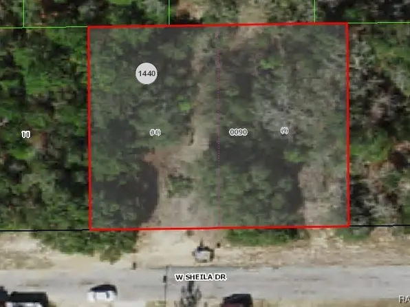 2907 W Sheila Dr, Citrus Springs, FL 34433