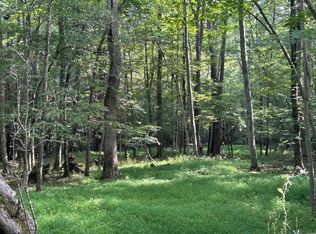 0 Bonner Mountain Rd, Davis, WV 26260