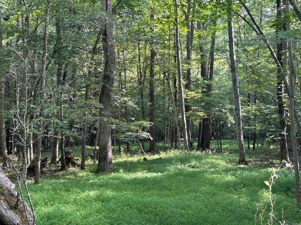 0 Bonner Mountain Rd, Davis, WV 26260